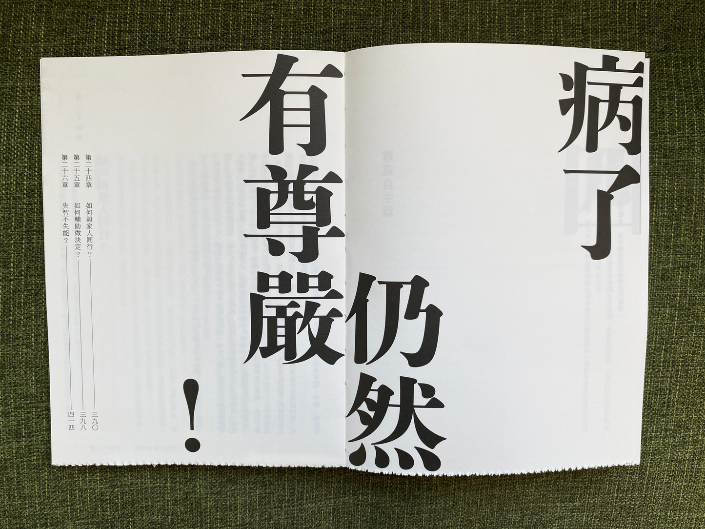 《怕老——香港長者法律保障》