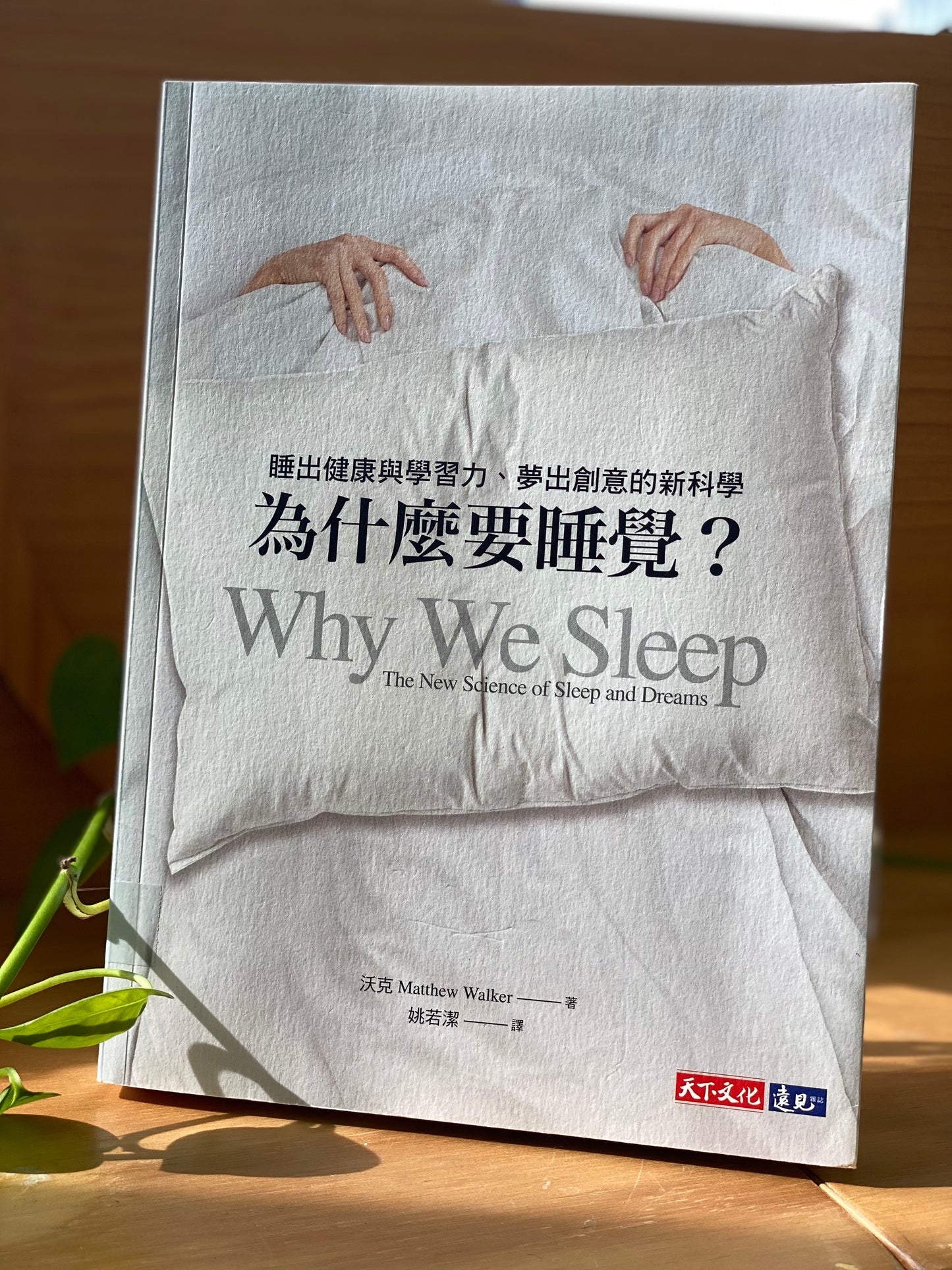 為什麼要睡覺？